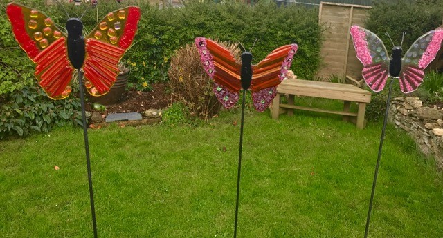Butterflies Butterflies
