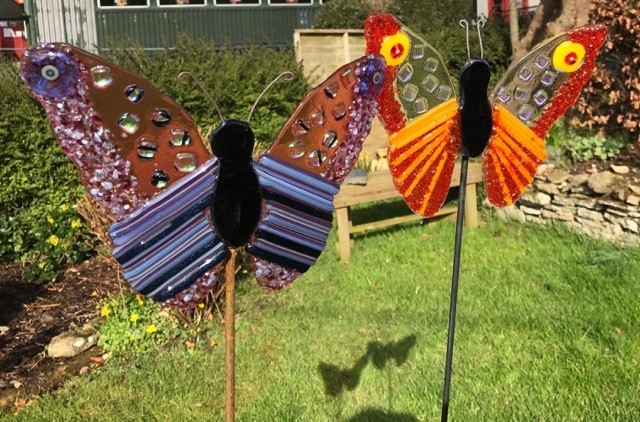 Butterflies Butterflies